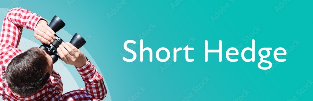 Fototapeta premium Short Hedge. Man observing with binoculars. Focus on text/word. Panorama format. Blue/turquoise background.