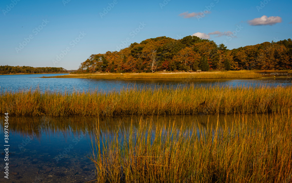 Autumn Golden Hour Seascape of Island over the Marsh Grasses on Cape Cod
