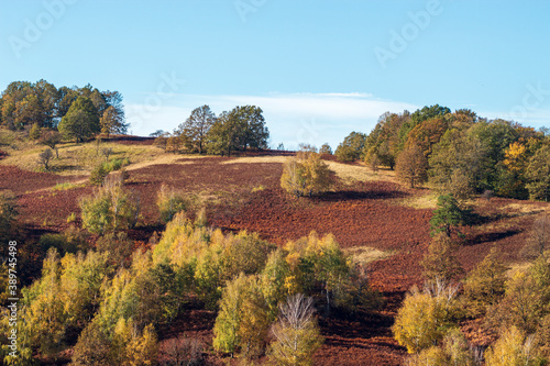 Autumn on the hill with the blue sky