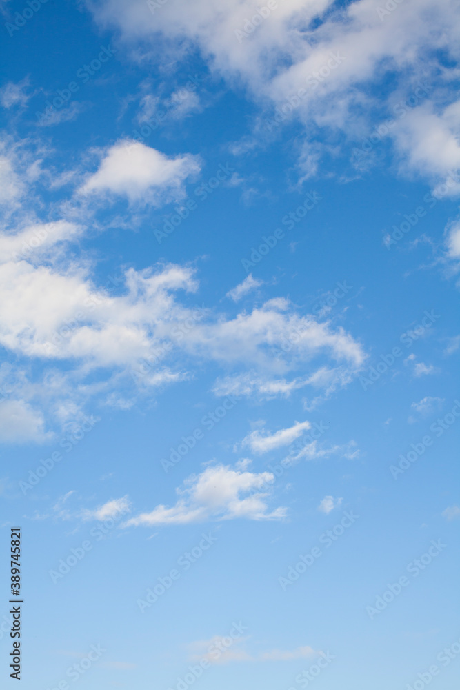 Fototapeta premium 夕空