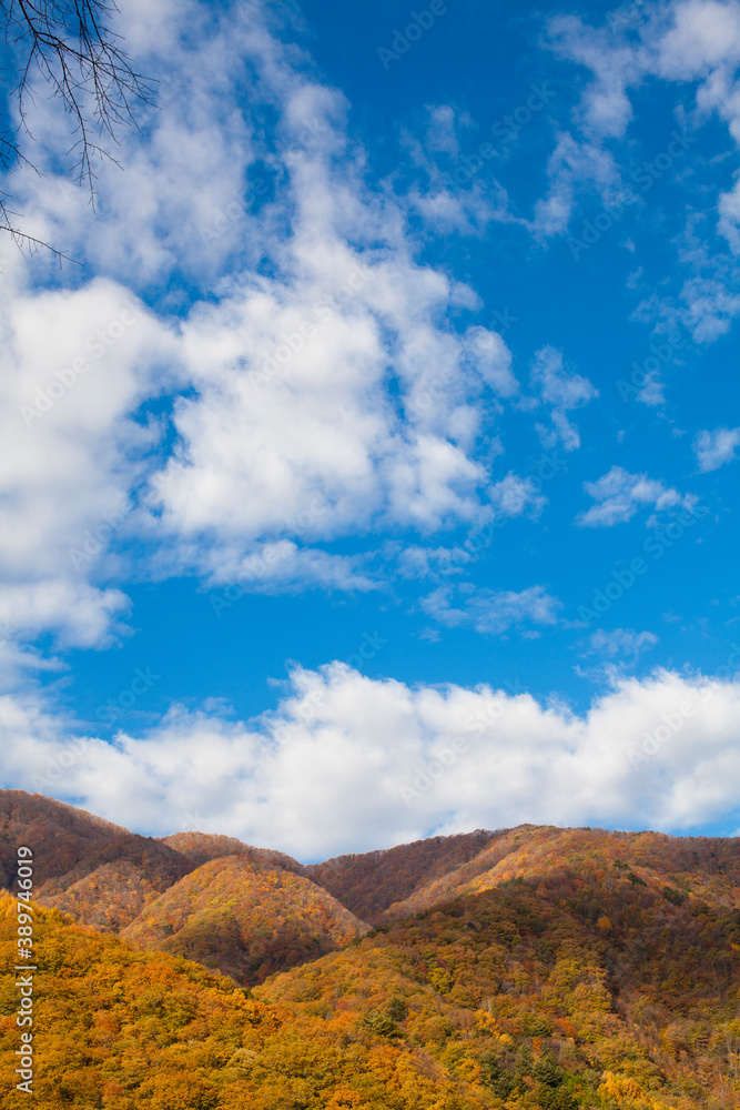 Fototapeta premium 紅葉を始めた山