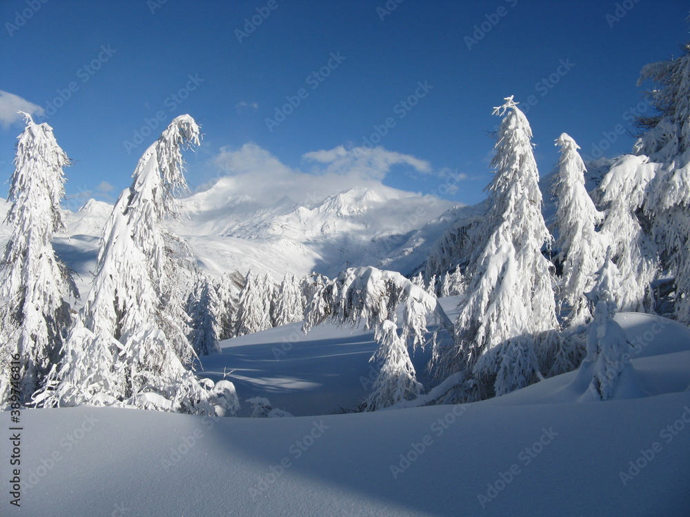 Fototapeta premium after snowfall