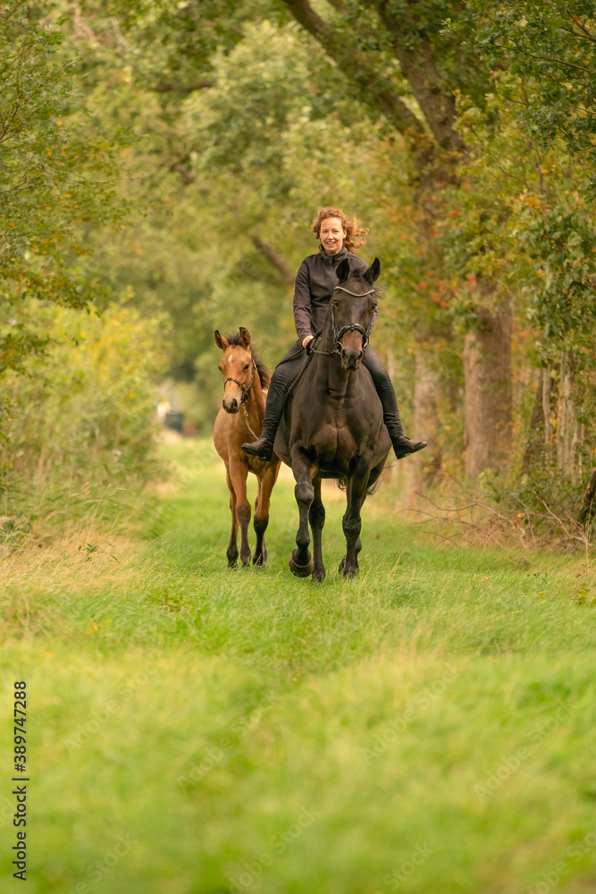 Young woman riding without saddle on her beautiful brown mare, yellow foal next to them, in the autumn forest Young woman riding without saddle on her beautiful brown mare, yellow foal next to them, in the autumn forest