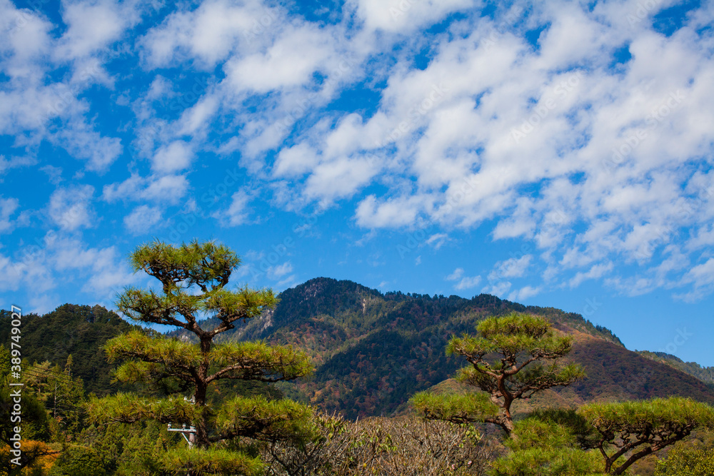 妻籠の山 妻籠の山