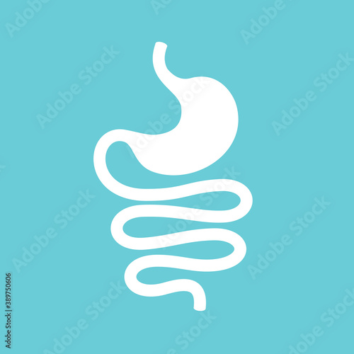 Human gastrointestinal system, stomach and intestine vector icon