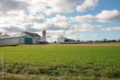 Working Barn