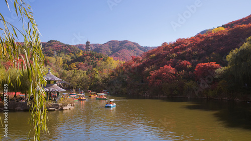 Scenery of lakes and mountains in autumn，Red Leaf Valley in Jinan