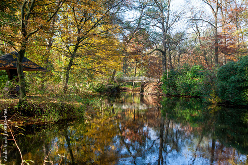 Brücke über den See