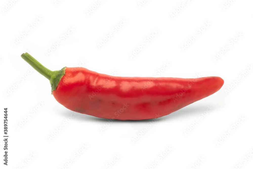 fresh hot red pepper in isolation on a white background fresh hot red pepper in isolation on a white background