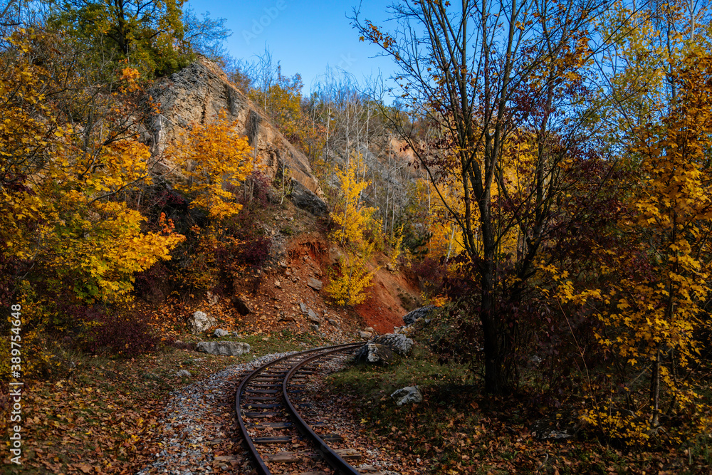 Old narrow gauge railway in autumn forest. Rails and sleepers. Industrial museum Solvay quarries (Solvayovy lomy), Saint John under the Cliff (Svaty Jan pod Skalou), Czech Republic
