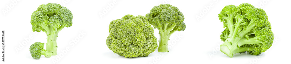 Collection of broccoli floret isolated on a white background cutout Collection of broccoli floret isolated on a white background cutout