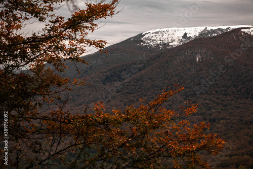 Wielka Rawka w śniegu - Bieszczady, Polska