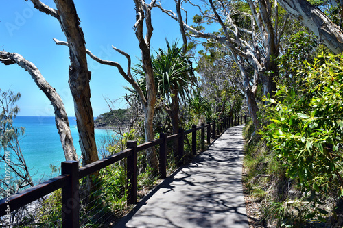 Forest way trail with an amazing ocean scenery at Noosa National Park