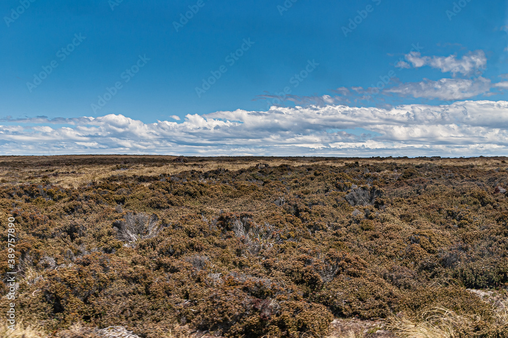 Falkland Islands, UK - December 15, 2008: Wide windswept bare landscape of dry land with brown low bush vegetation under blue cloudscape.