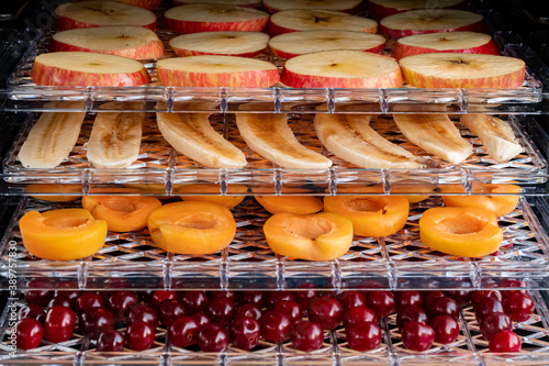 Electric machine for home drying and dehydration
