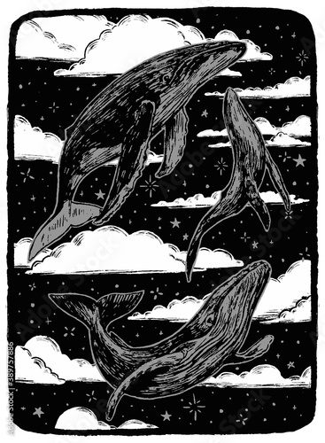 Three beautiful whale floating in the starry sky. Hand drawn vector illustration in monochrome colors. Abstract graphic drawing isolated on white. Element for design print, poster, typography, decor.