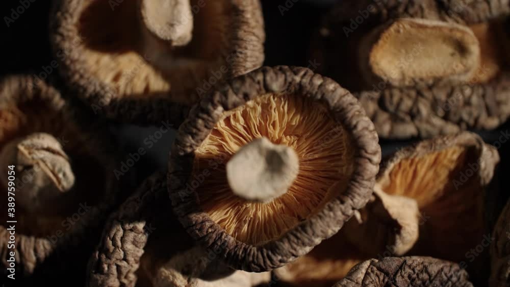 4K Close up of Shiitake mushrooms often used in Japanese and Chinese cooking. Rotating macro shot of the dried mushrooms that shows the beautiful and delicate texture of the Asian ingredient.