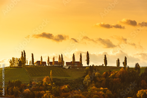 South styria vineyards landscape, Tuscany of Austria. Sunrise in autumn. photo