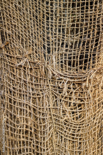 weave of thick and rough frayed ropes - texture of an old rustic and damaged net photo