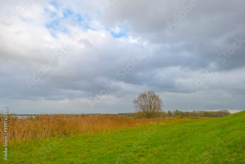 The edge of a lake in autumn colors under a blue cloudy rainy and stormy sky at fall, Almere, Flevoland, The Netherlands, November 2, 2020