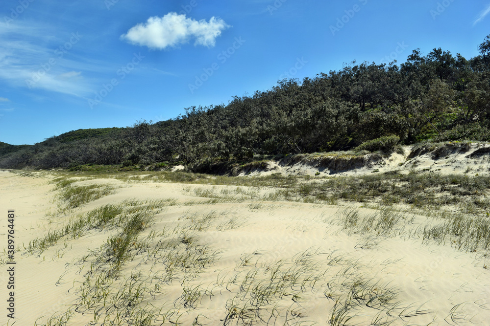 An Amazing dune sand in Alexandria Bay Noosa National Park An Amazing dune sand in Alexandria Bay Noosa National Park