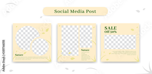 Social media ig instagram content post frame set background template green nature style good for nature base product, skincare, beauty, spa, or furniture