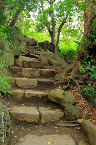 三四郎池脇の階段