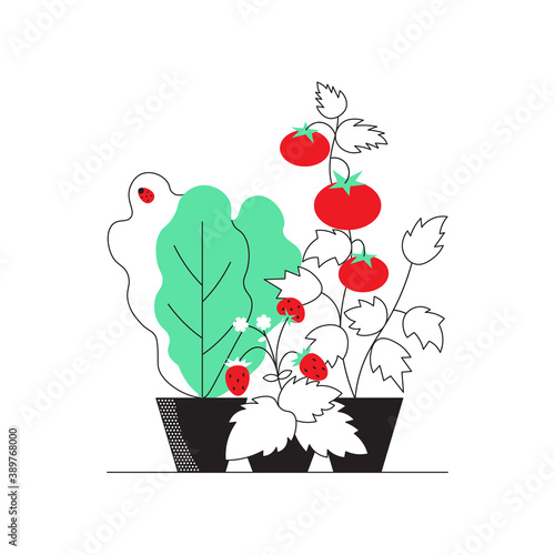 Kitchen garden superfood for yourself