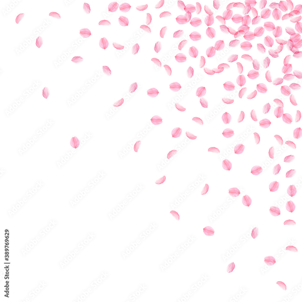 Sakura petals falling down. Romantic pink silky sm