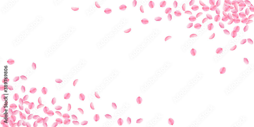 Sakura petals falling down. Romantic pink bright m