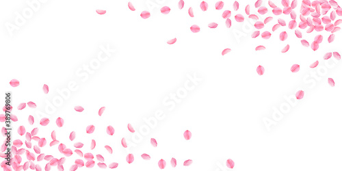 Sakura petals falling down. Romantic pink bright m