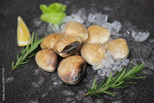 raw fresh shells with ice and vegetable for cooking in home 