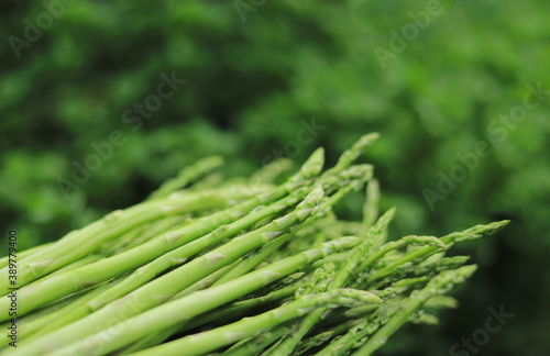 asparagus freesh cutting in wood for being in gredient in cooking 
