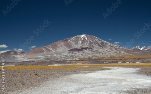 Volcanic landscape in the Andes mountain range. View of the naturals alt flat, yellow meadow, valley and Volcano Incahuasi high in the cordillera in summer. © Gonzalo