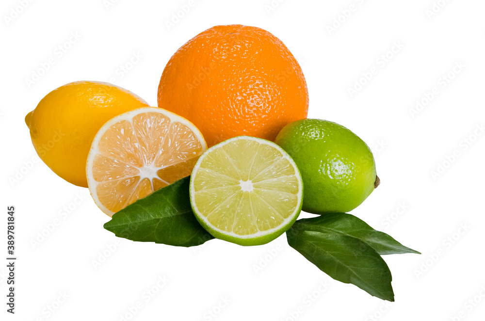Citrus fresh fruits, still life of orange, lemon and lime