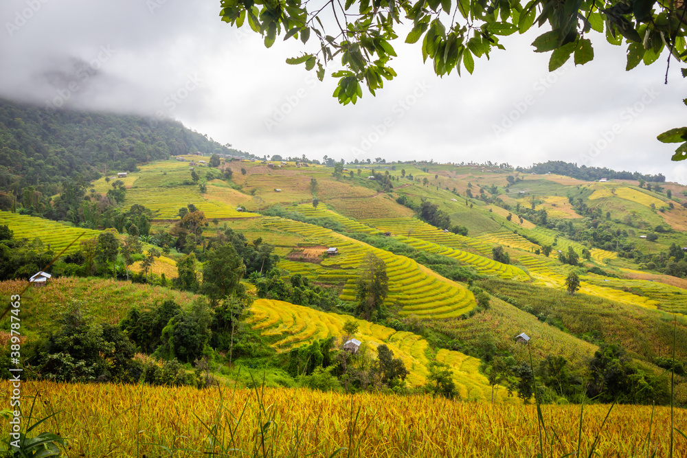 Landscape of Rice terraces on mountain at Ban Pa Pong Piang, Doi Din Thanon, Chiang Mai, Thailand