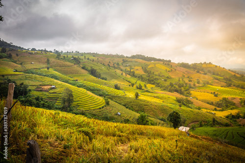 Landscape of Rice terraces on mountain at Ban Pa Pong Piang, Doi Din Thanon, Chiang Mai, Thailand
