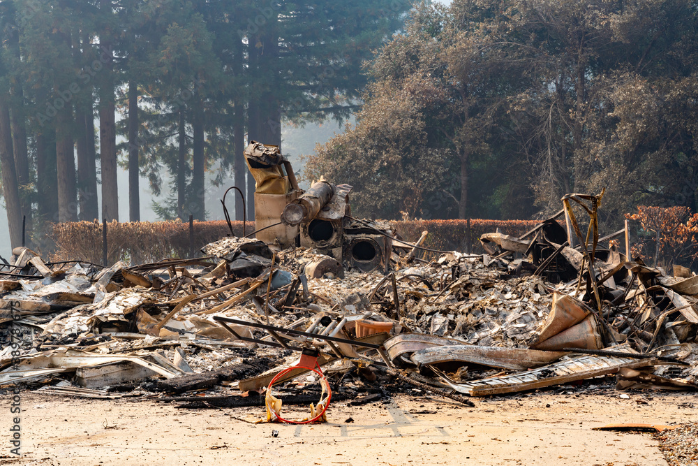 CZU Lightning Fire California - wildfire ravaging forests - obrazy, fototapety, plakaty 