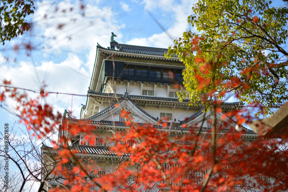 九州小倉城下の紅葉と天守閣の風景