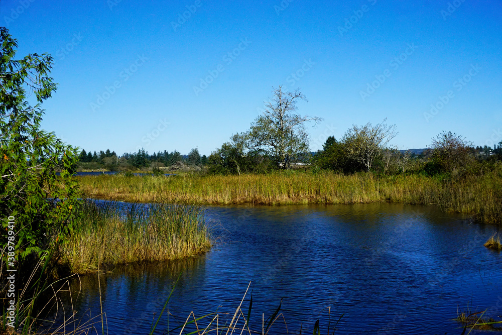 Netul Landing at Fort Clatsop National Park in Oregon