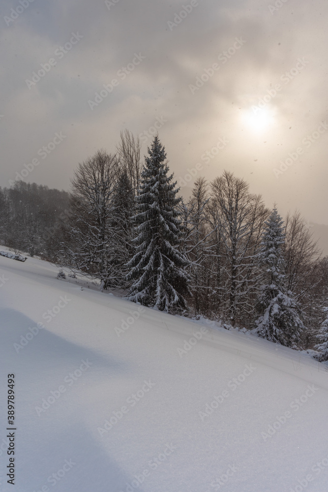 Snowy winter in the Ukrainian Carpathian mountains with traveling tourists Snowy winter in the Ukrainian Carpathian mountains with traveling tourists