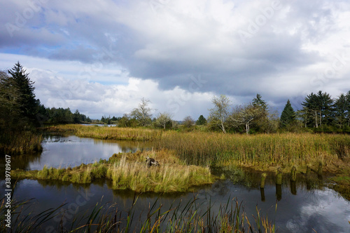 Netul Landing at Fort Clatsop National Park in Oregon photo