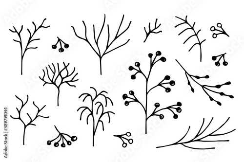 Hand-drawn floral vector drawing in black outline. A set of natural elements for decoration, creating patterns. Winter twigs, trees without foliage, branch, berries.