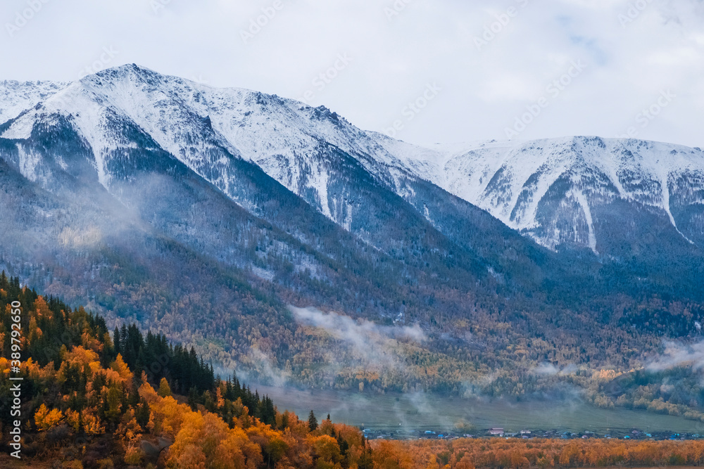 Autumn mountains wiht yellow larches and snow on the top. Autumn forest landscape. Natural background. Katon-Karagay national park in Kazakhstan. Tourism, travel in Kazakhstan concept.