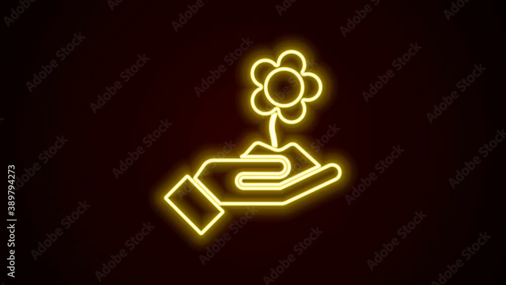 Glowing neon line Hand holding flower icon isolated on black background. Seed and seedling. Planting sapling. Ecology concept. 4K Video motion graphic animation Glowing neon line Hand holding flower icon isolated on black background. Seed and seedling. Planting sapling. Ecology concept. 4K Video motion graphic animation