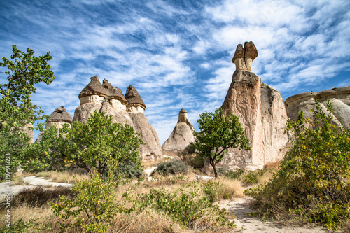 Fairy Chimneys rock formations in Pasabag or Monks Valley, Cappadocia, Turkey.