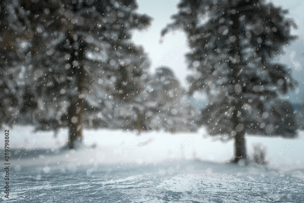 Fototapeta premium winter background, blured forest