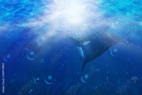 3d orca underwater © AnnaPa