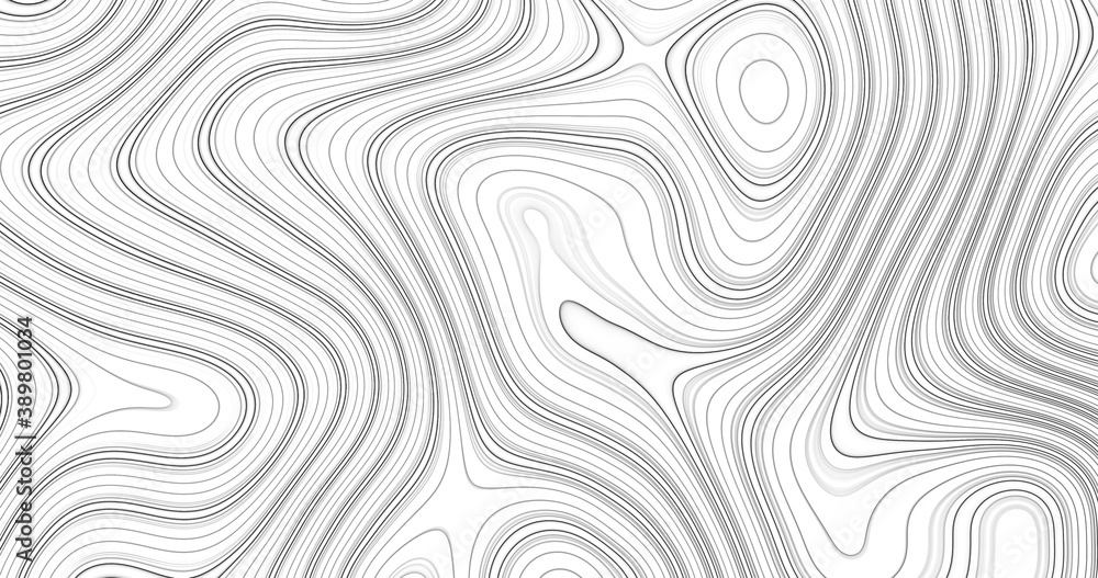 Fototapeta Abstract black and white topographic contours lines