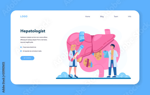 Hepatologist web banner or landing page. Doctor make liver